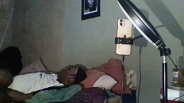 Moorella1
