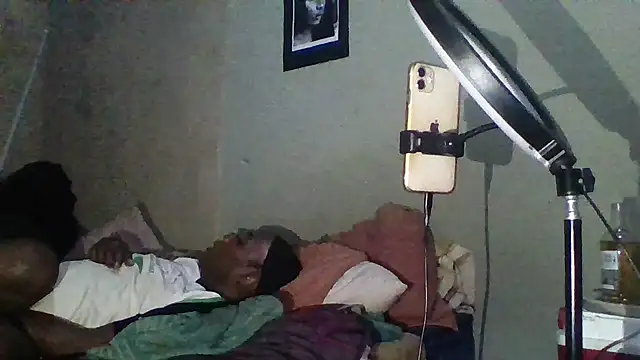 Moorella1