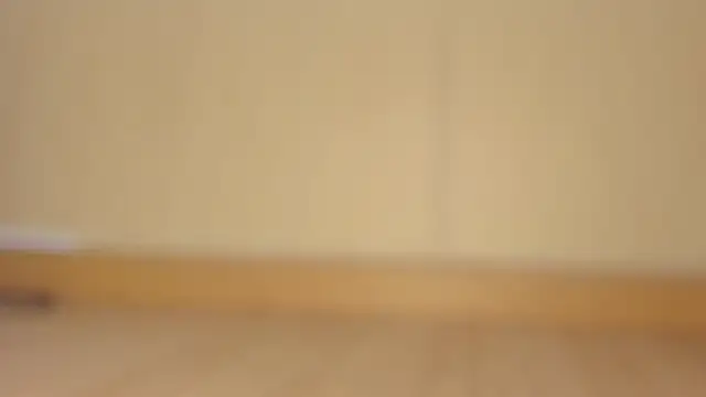 Kaidapunk
