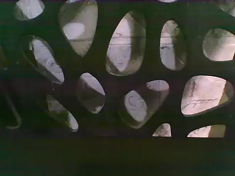 asian_bhebs1