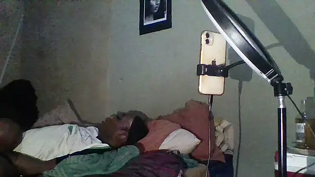 Moorella1