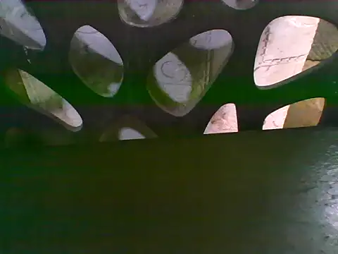 asian_bhebs1