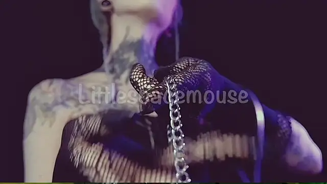 Littlespacemouse