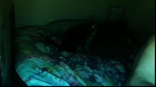SexWorkerX live cam screenshot male from United States on CamSexing – Live Sex Chat & Webcam Shows