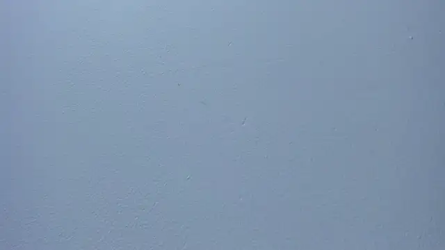alicia_carr