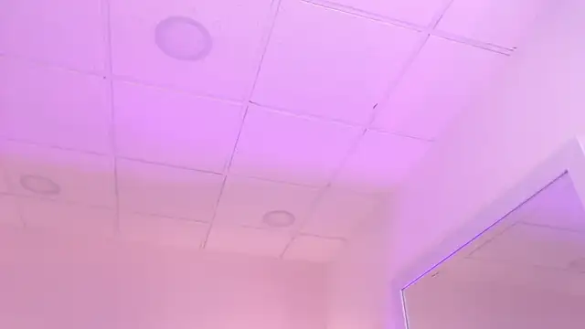 Sadee_