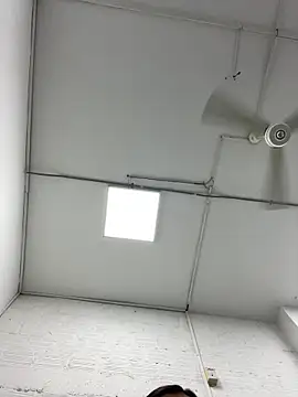 liceet - LICEET's free webcam