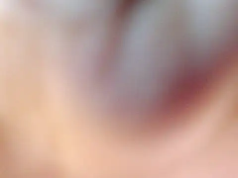 HorseCockJamieTS