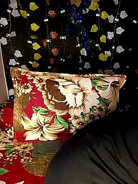 Sony-Model