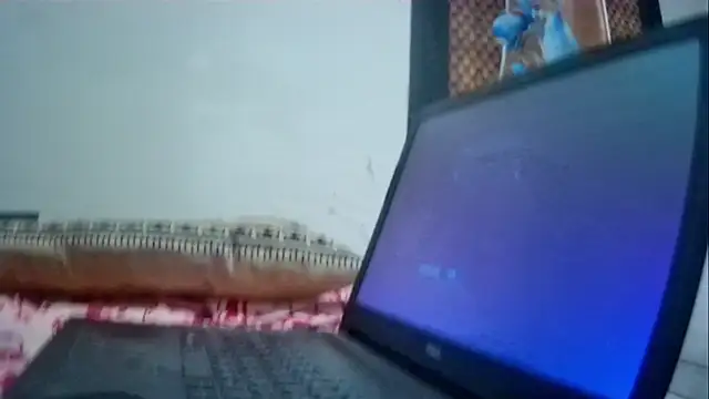 velociraptor_xxx