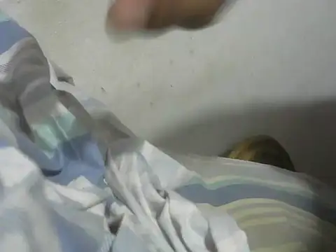 dickrus0077