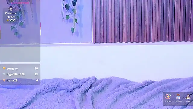 Dakotaferreti
