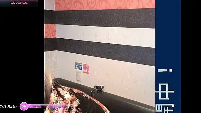 __SAYO__ webcam