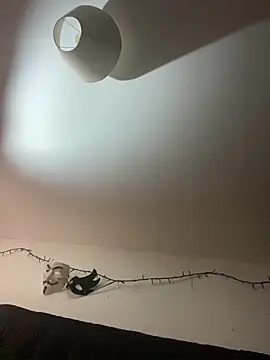 onlymoney18k live cam screenshot malefemale from Chile on SexOnline.top – Live Cams, Videos, GIFs & Chat