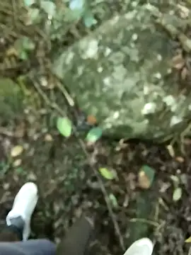 dpkpaksudda