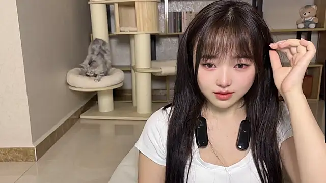 Chenjing0