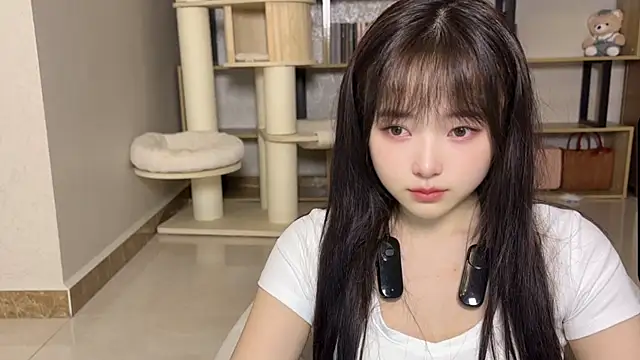 Chenjing0