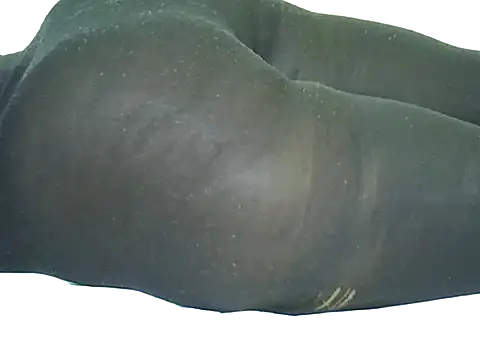 candililie