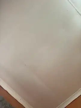 Sexyass242