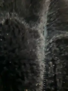 LikaCat