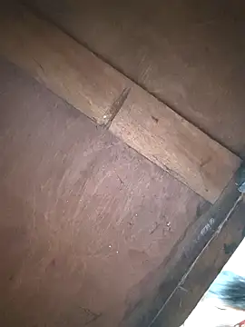 Srmotrs