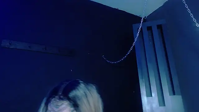 Preview of venus_rock