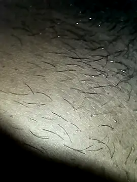 WolfMenSL