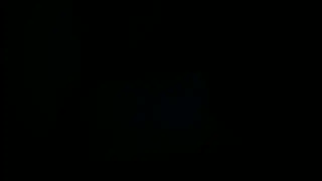 NinaCollinss1