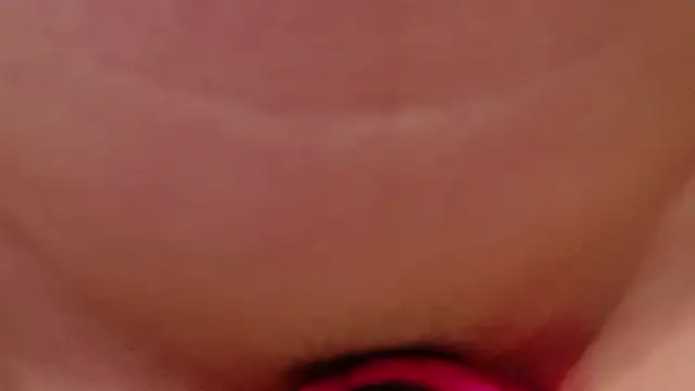 MOEMOE-Q