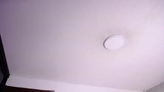 Agatha_bellucci_