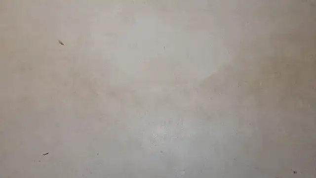 royblackbigpvt