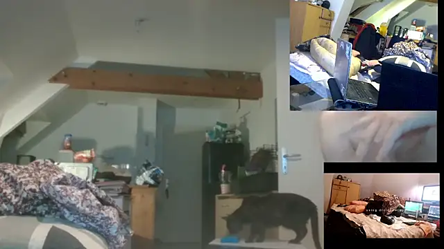 Mastersanges