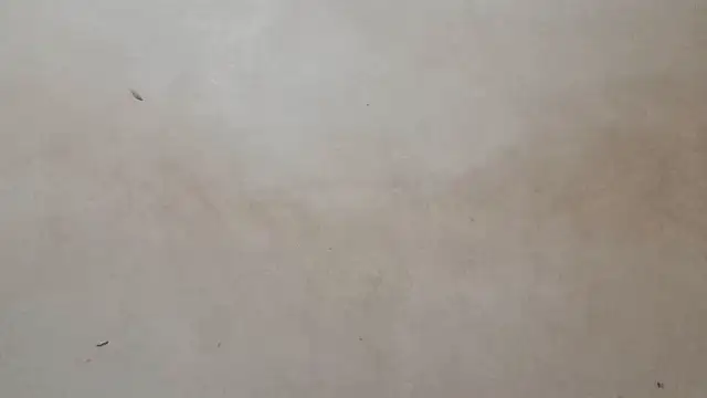 royblackbigpvt