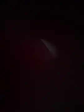 Sophie__Foxxx