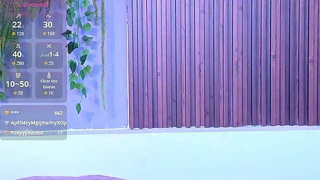 Dakotaferreti