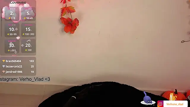 verhona_vlad