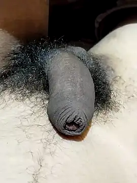 saneer69tew - Saneer69tew's free webcam
