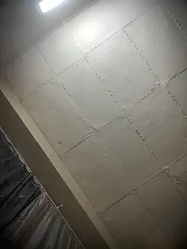 houseforsex