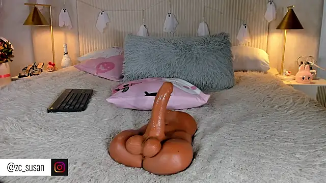 susan_zc