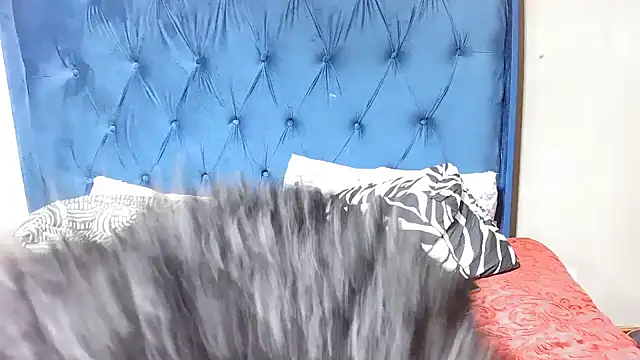 SexyDoll25x