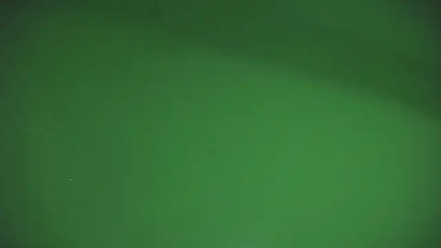 Aaron_Fordd