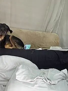 estrella_tasty