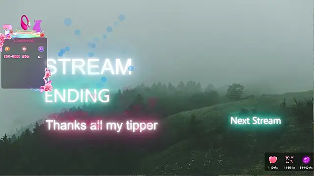YourBurnWish