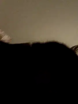 tiredcamgirI