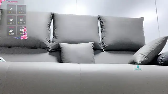 Kaixin520