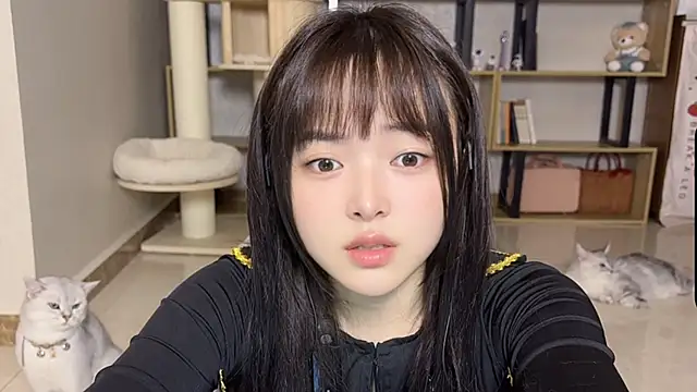 Chenjing0