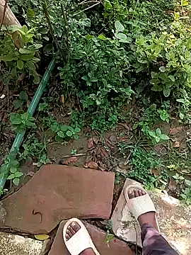Vkkki