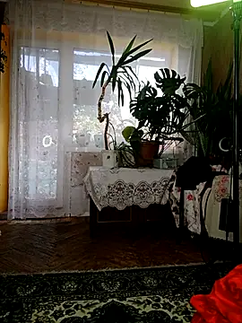 Xelenaxcbbs
