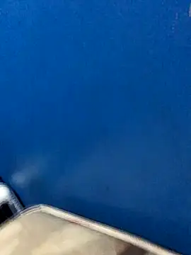 Alangostoso092