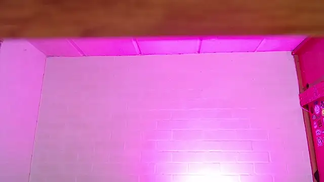 Preview of amy66